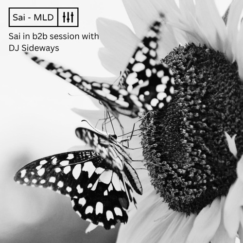 Sai b2b in session with DJ Sideways