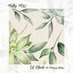 Mcfly - El Olvido (Dr Parnassus Remix)