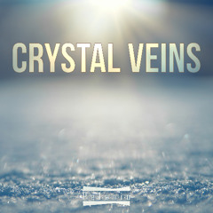 Midnight Silhouettes