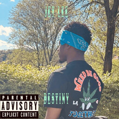 Destiny