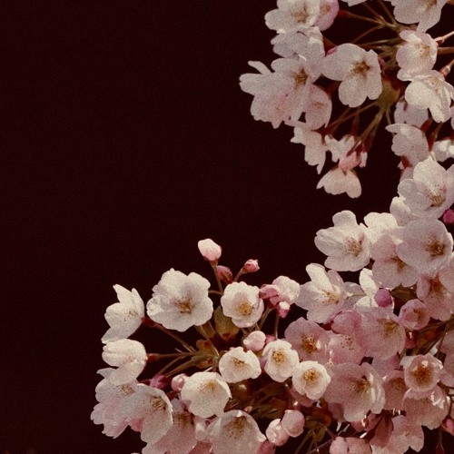화산(華山) - 화산귀환 팬테마곡