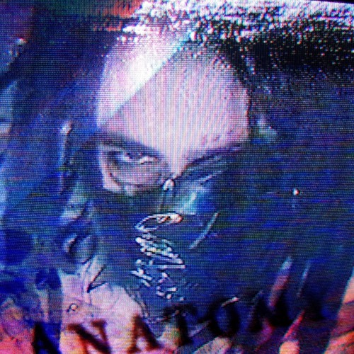 FLESHLIKE PLASTIC [prod. triplesixdelete]