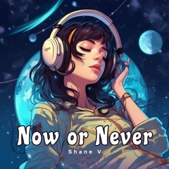 Now Or Never (Original Mix)