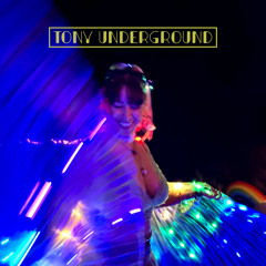 Hypnotic House Grooves 2 - Tony Underground