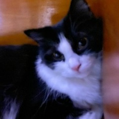 put ur head on mi shoulder