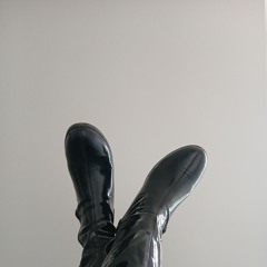 House pour cirer ses souliers