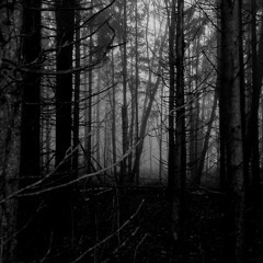 Dance of the Dust Fairies (dreams collect dust)