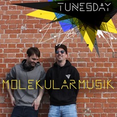 Tunesday #078: Molekularmusik
