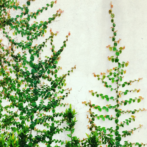 Khóc Cùng Em (cover)  Nhi Nhi X Fin'D