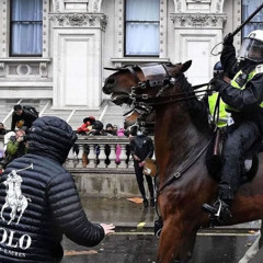 clips patagonia 2?2?     w/pol5k