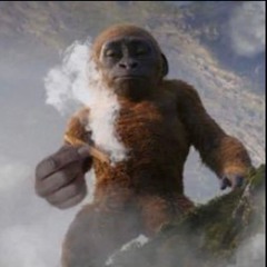 SMOKE
