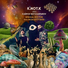 📻Salon invites KARPOV NOT KASPAROV aka K.NOT.K