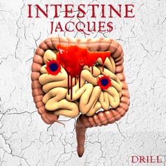 INTESTINE -JACQUE$ (drill)