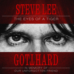 Eye of the Tiger