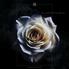 PREMIERE : Tracy - Decadent Society [Northallsen Records]