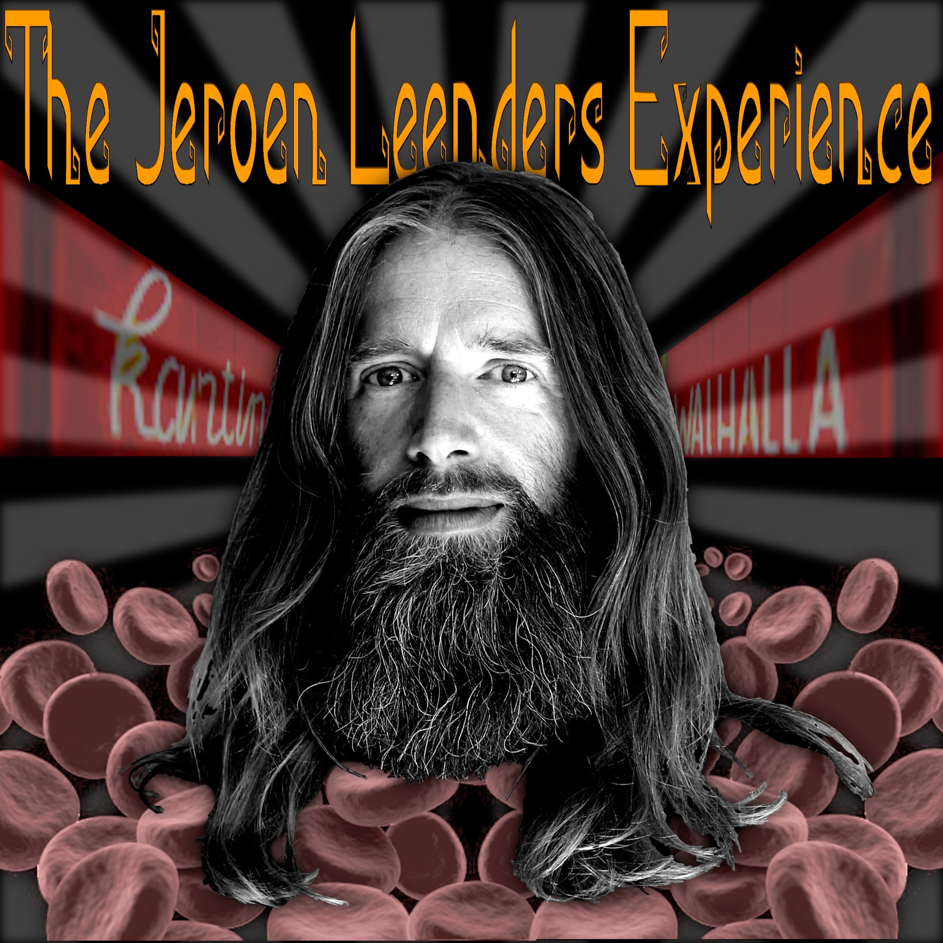 Jeroen Leenders Experience
