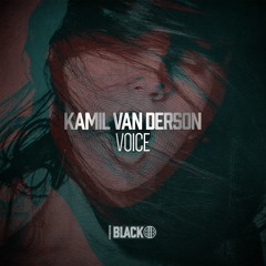 Kamil Van Derson - To The Stars (Original Mix) [Airborne Black] - AIRBORNEB060