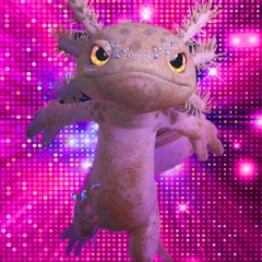 Disco/Nu Disco/Dark Disco/Groove/Funk/Jackin House