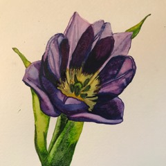 The Flowers On The Wall