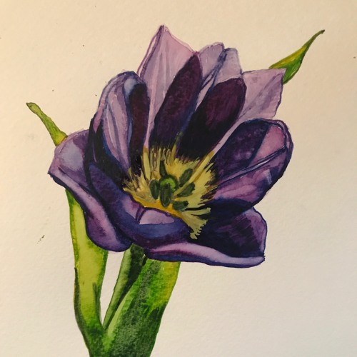 The Flowers On The Wall