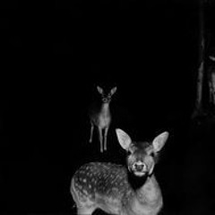 ᴛᴏ ʙᴇ ʜᴏɴᴇꜱᴛ, ɢᴏᴏᴅʙʏᴇ - ꜱʜᴏɴ & ɢʀᴀʏꜱᴋɪᴇꜱ˖⁺