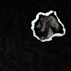 Red Eyes in the Night