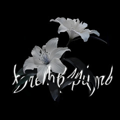 хочетверить (prod. by UKnow, owxdy)