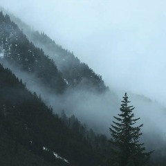 The Forest