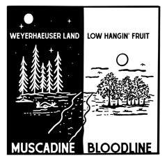 Weyerhaeuser Land