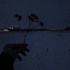 Love Once Was - Surrenderdorothy Type Beat