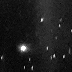 LADY GAGA DISEASE MOBNKRZ REMIX