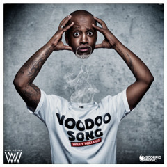 NRJ - WILLY WILLIAM - VOODOO SONG (PN2)
