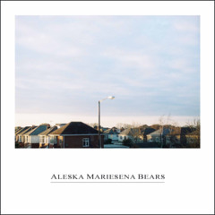 MARIESENA - About My Temper and the Ship as a Metaphor