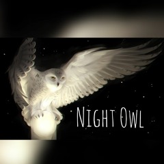 Night Owl (Prod. byalif)
