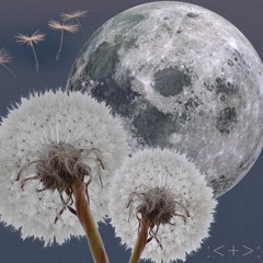 New Moon in Gemini Esoteric Movement Meditation
