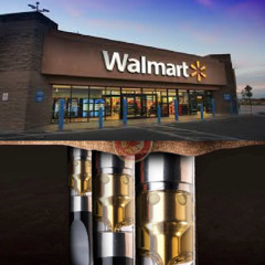 pregnant women are just government drones