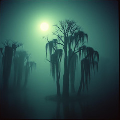 Bayou Ghosts