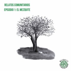 Relatos Comunitarios Episodio 1 "El Mezquite"