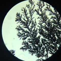 'Need new needles but at least you can tell it's vinyl' mix