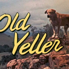 OLD YELLER (Beat)