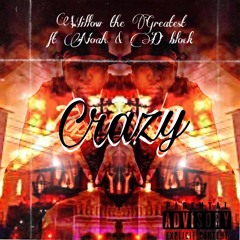 Willow - Crazy Ft.( Noah ARK , D Block