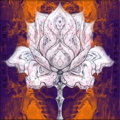 Spirits 200