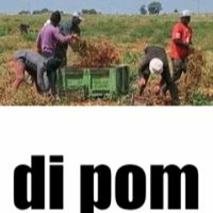 CAMPI DI POMODORO (MORO REMIX)