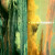 Artwork for Rescue