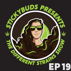 The Different Strains Show (EP 19)