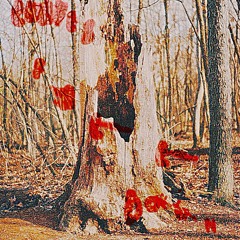 leaves (fall down part 2)