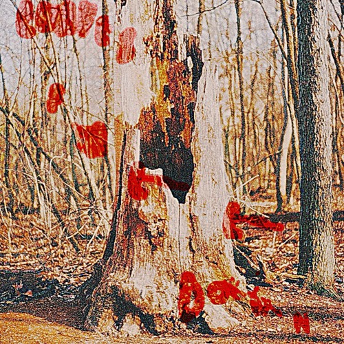 leaves (fall down pt. 2)