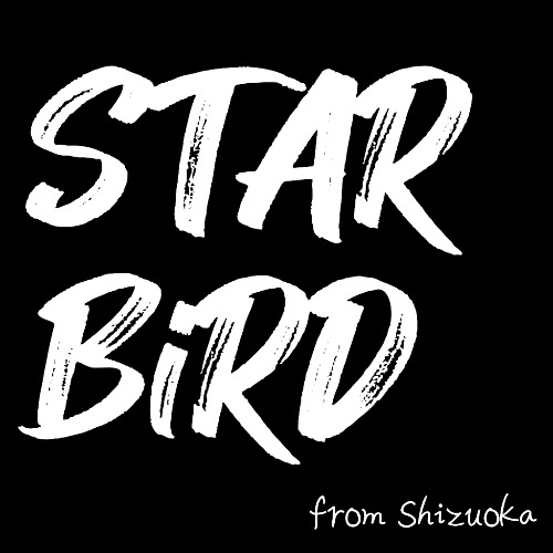 STAR BiRD-キチガイの唄- (Demo)