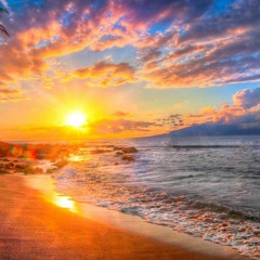 Celebrate the Summer rework. Lacuna