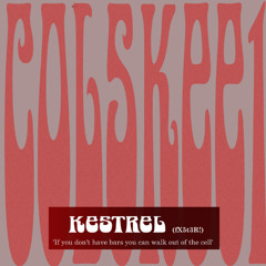 kestrel (Fx5t3R!)